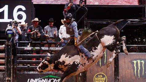 bull wrecked|bull riders who died riding.